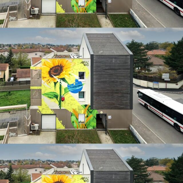 Fresque réalisée en duo avec @hetaone , pour le foyer Soleil de la commune de Chaponost. Un lieu de vie où toutes les générations vivent ensemble. Merci encore pour l'accueil des habitants et une spécial dédicace à @elodiejeunessechaponost . 
Et bien entendu le copain @lyonhiphop pour les photos 
#streetart #streetarteverywhere #streetphotography #streetartaddicted #streetartlover #streetartphotography #graffiti #graffitiart #graffitiporn #graffitistyle #graffitiartist #sunflower #sunflowerlove #sunflowerart